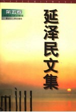 延泽民文集 第5卷 中短篇小说、电影文学剧本卷