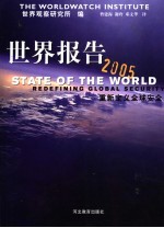 世界报告 2005 重新定义全球安全 2005 Redefining global security