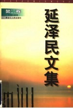 延泽民文集 第2卷 长篇小说卷