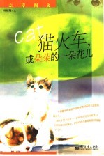 猫火车，或朵朵的一朵花儿