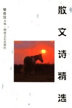 散文诗精选 1993-1998