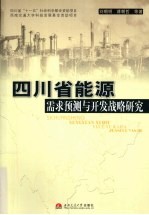 四川省能源需求与预测与开发战略研究