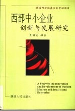 西部中小企业创新与发展研究