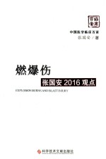 燃爆伤张国安2016观点