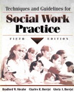 TECHNIQUES AND GUIDELINES FOR SOCIAL WORK PRACTICE FIFTH EDITION