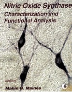 NITRIC OXIDE SYNTHASE:CHARACTERIZATION AND FUNCTIONAL ANALYSIS