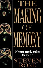 THE MAKING OF MEMORY