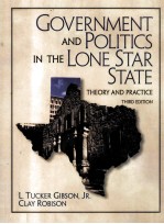 GOVERNMENT AND POLITICS IN THE LONE STAR STATE THEORY AND PRACTICE THIRD EDITION