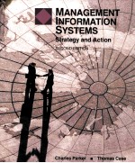 MANAGEMENT INFORMATION SYSTEMS:STRATEGY AND ACTION SECOND EDITION