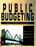 PUBLIC BUDGETING POLITICS