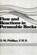 FLOW AND REACTIONS IN PERMEABLE ROCKS