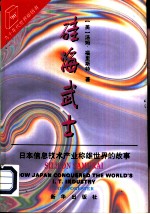 硅海武士 日本信息技术产业称雄世界的故事