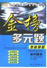 综合素质训练·金榜多元题智能解题 初中数学