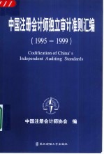 中国注册会计师独立审计准则汇编 1995-1999