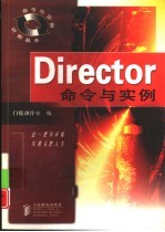 Director命令与实例