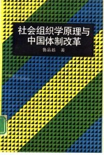 社会组织学原理与中国体制改革