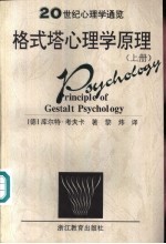 20世纪心理学通览格式塔心理学原理  上、下