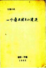 一个自卫团员的遭遇 长篇小说