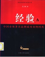 经验-中国市场著名品牌成功案例图典 A