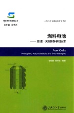 燃料电池 原理·关键材料和技术