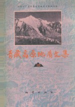 青藏高原地质文集 10 “三江”地层·古生物