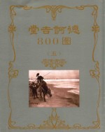 堂吉诃德800图  5