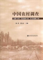 中国农村调查 总第10卷 村庄类第9卷 长江区域 第2卷