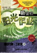 新课程阳光作业 初中几何 三年级 全 人教统编版