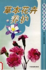 草本花卉养护