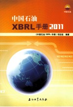 中国石油XBRL手册 2011