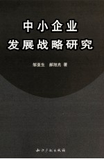 中小企业发展战略研究