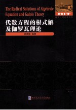 代数方程的根式解及伽罗瓦理论