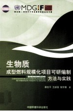 生物质成型燃料规模化项目可研编制方法与实践