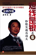 短线是银  6  炒股实战真功夫  全新改版