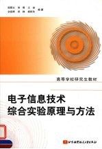 电子信息技术综合实验原理与方法