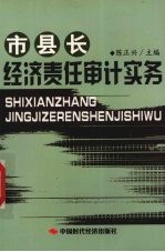 市县长经济责任审计实务