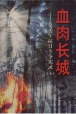 血肉长城：义勇军抗日斗争实录 上