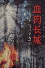 血肉长城：义勇军抗日斗争实录 下