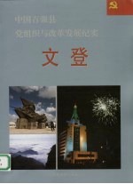 中国百强县党组织与改革发展纪实 文登分册