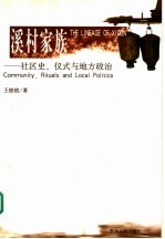 溪村家族  社区史、仪式与地方政治