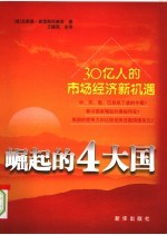 崛起的4大国 30亿人的市场经济新机遇