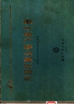 外国民航运输飞机手册