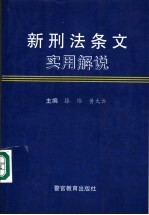 新刑法条文实用解说