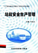 “十五”期间运输系统关键岗位干部岗位培训系列教材 站段安全生产管理