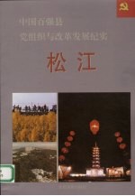 中国百强县党组织与改革发展纪实 松法分册