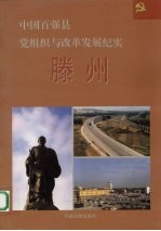 中国百强县党组织与改革发展纪实 滕州分册