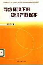 网络环境下的知识产权保护