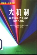 大机制 经济运行·产业组织和收入分配