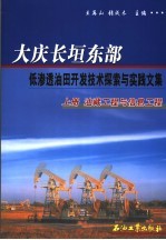 大庆长垣东部低渗透油田开发技术探索与实践文集  上  油藏工程与信息工程