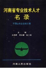 河南省专业技术人才名录 平顶山市企业政工卷